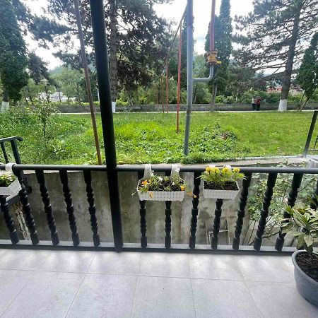 Apartament New Bordżomi Zewnętrze zdjęcie